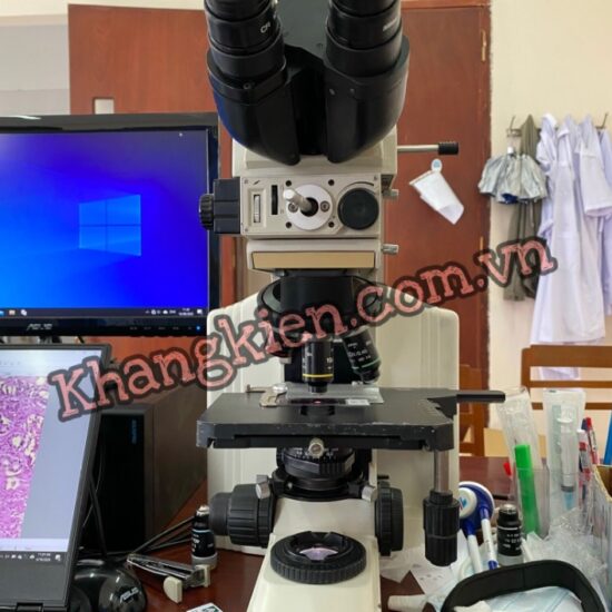 Camera chuyên dụng tốt nhất cho kính hiển vi Nikon